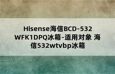 Hisense海信BCD-532WFK1DPQ冰箱-适用对象 海信532wtvbp冰箱